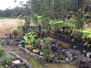 Kuuipo Cottage Mountain View